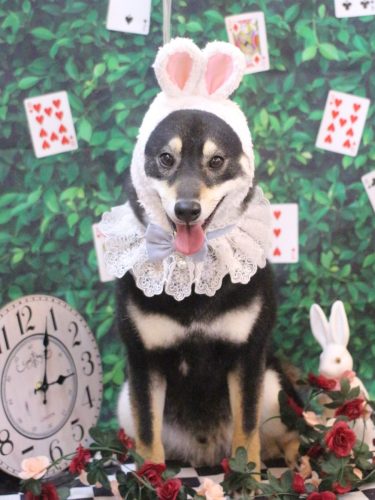 20250427黒丸くん